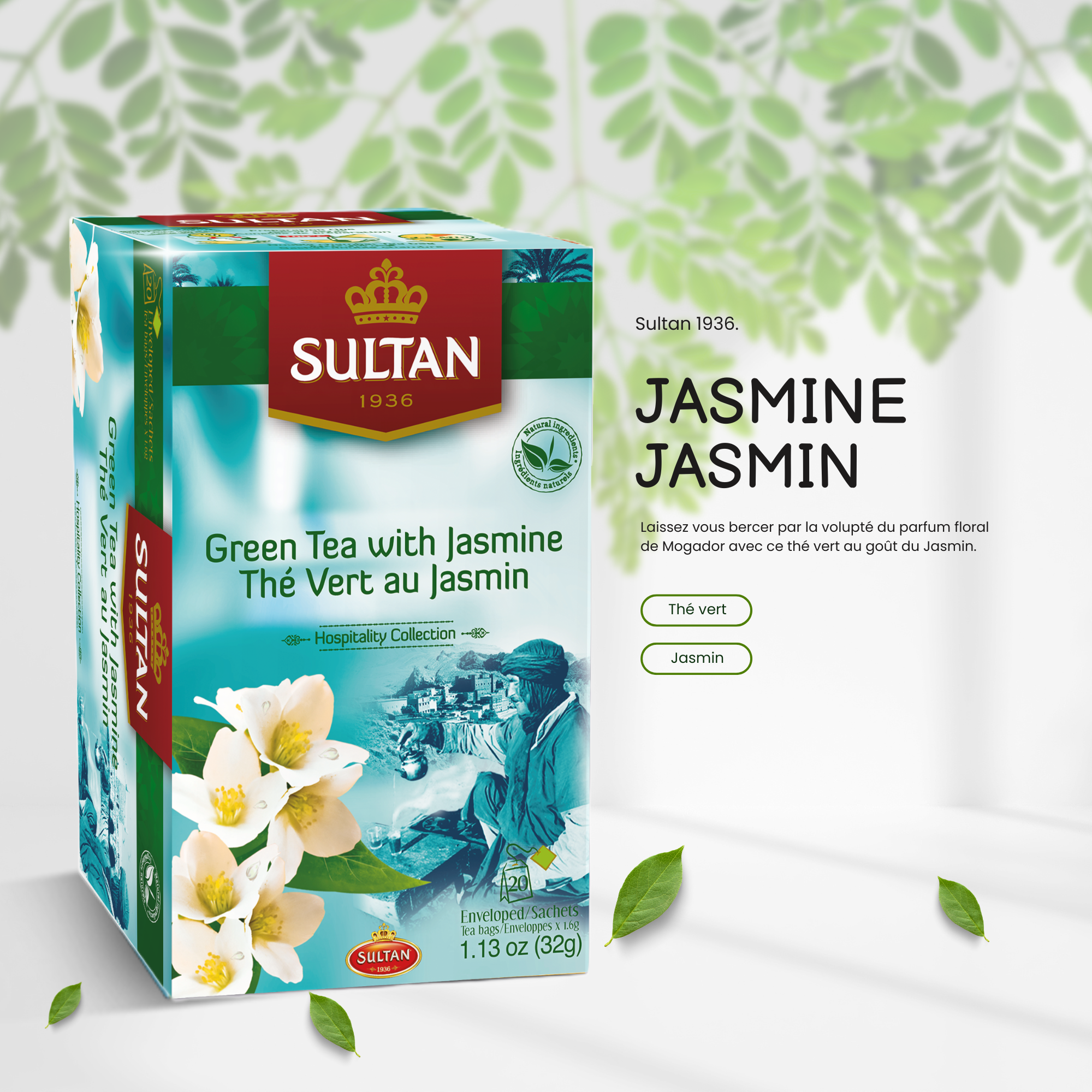 Jasmine Green Tea - in tea bags