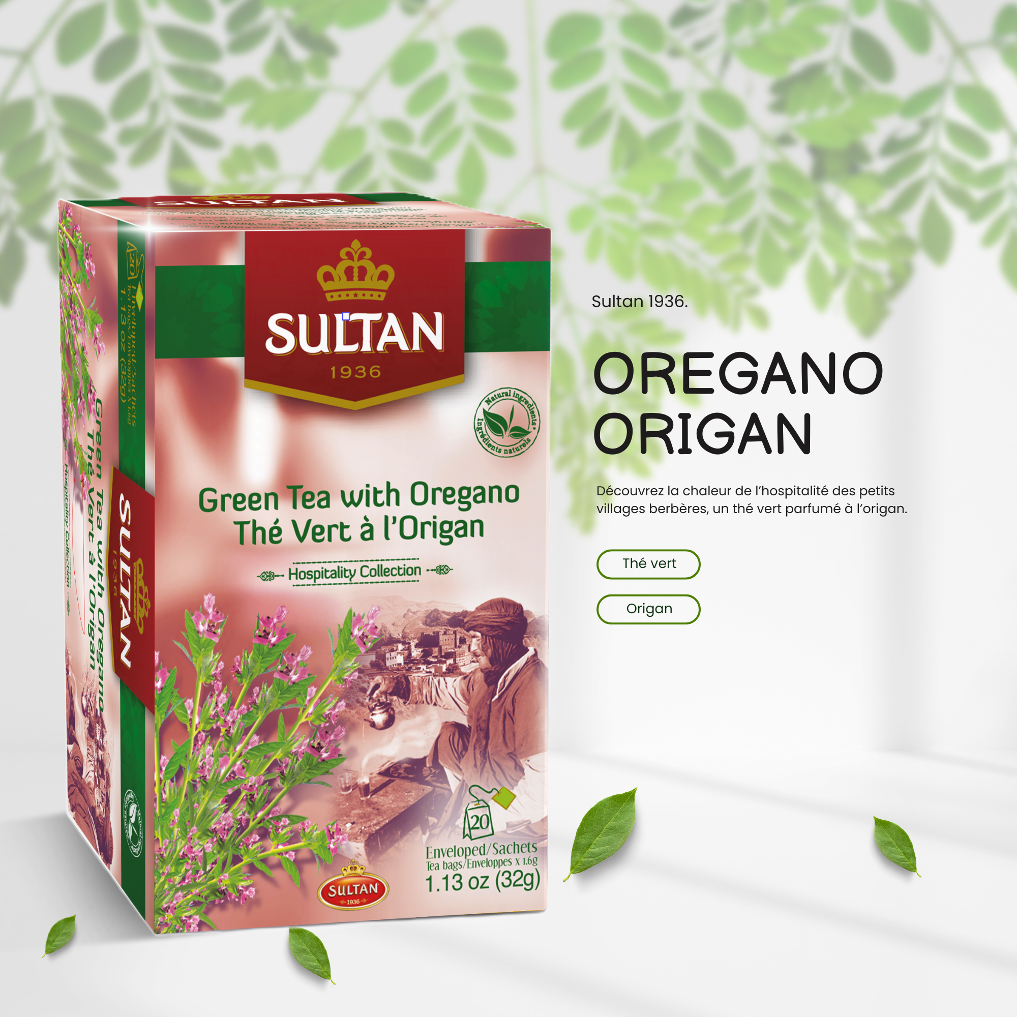 Green Tea with Oregano - in tea bags