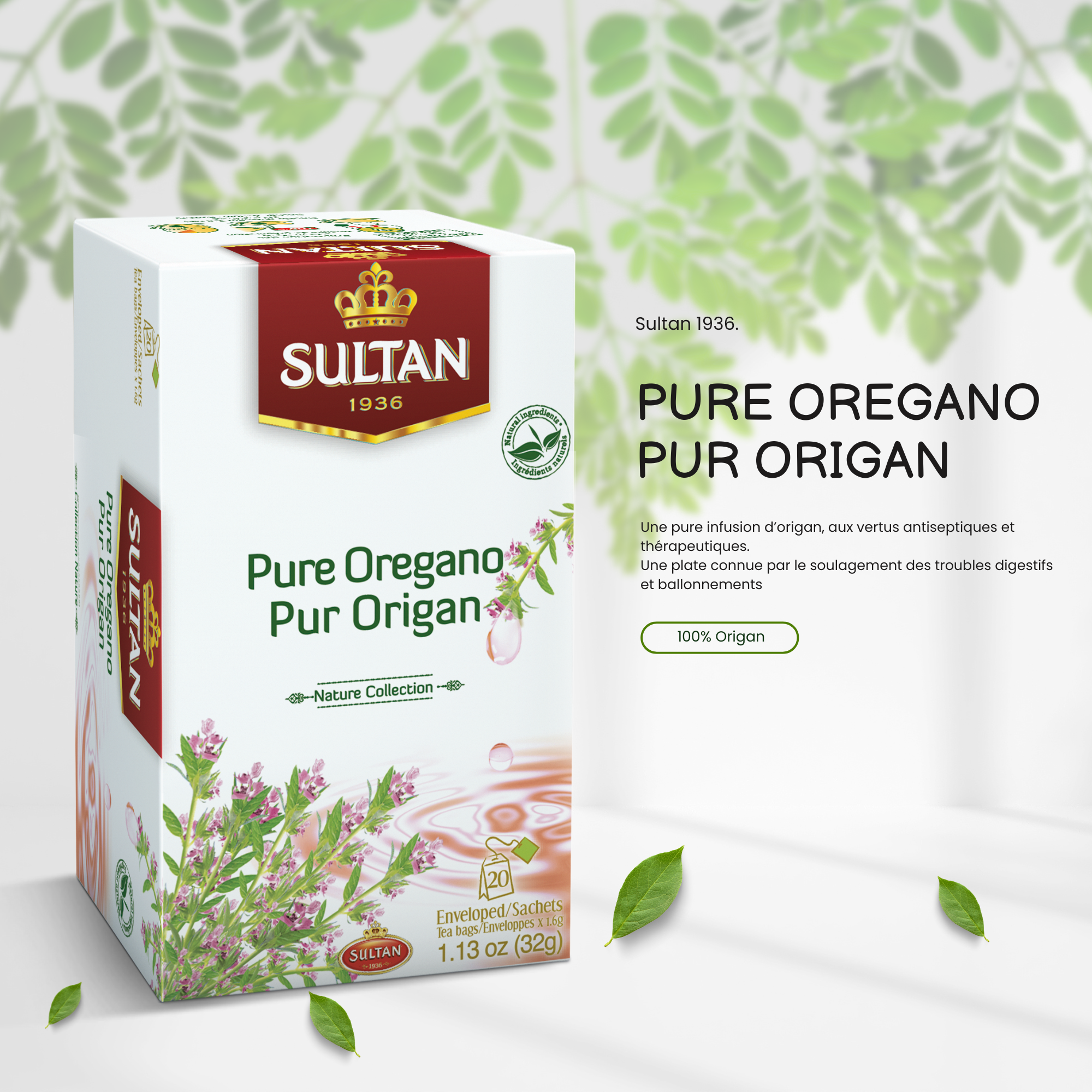 Pure Oregano Infusion - in sachets